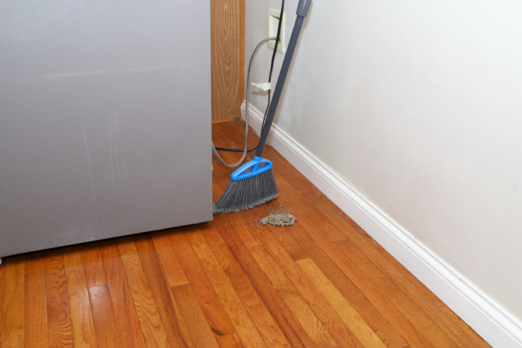 Deep cleaning behind the fridge